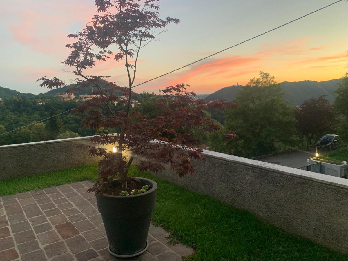 Volta'S Dream Villa Como Dış mekan fotoğraf